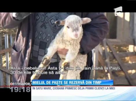 Ciobanii primesc deja primele comenzi pentru mieii de Paște