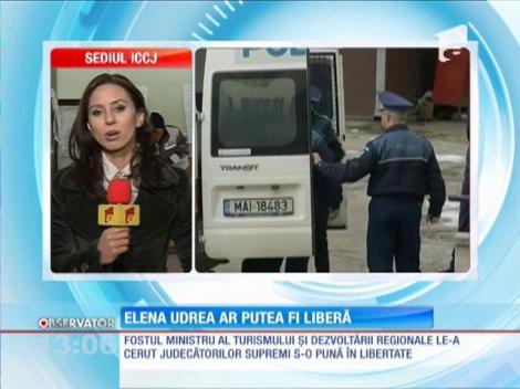 Elena Udrea ar putea fi liberă