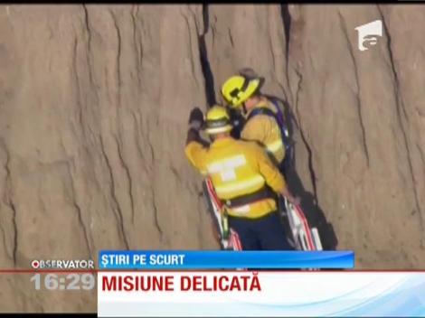 Salvare spectaculoasă în SUA! Un câine rămas blocat într-o crevasă