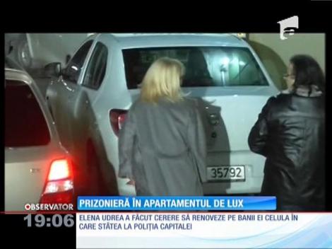 Elena Udrea, prizonieră în apartamentul de lux