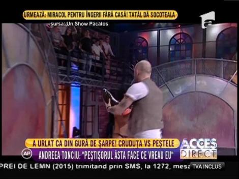 Asistentele păcătoase au întâlnit peştişorul de aur!