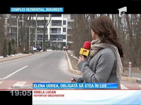 Elena Udrea se întoarce în Parlament să-şi afle domiciliul