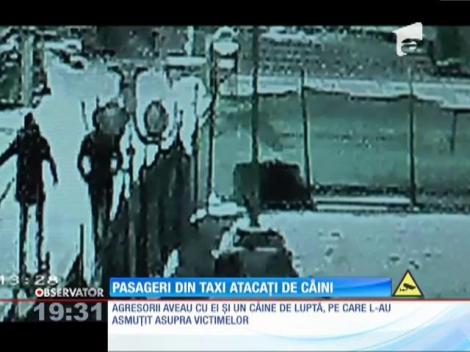 Pasageri din taxi atacați de câini