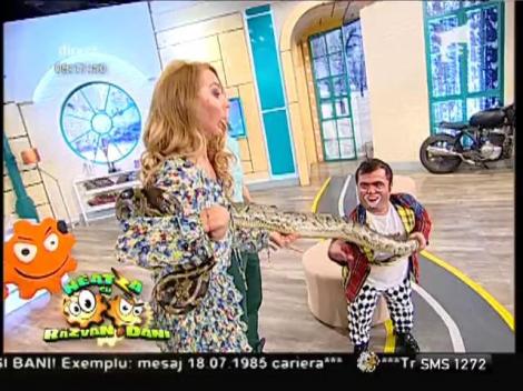 Vecina Flavia, cu șarpele la gât! Animalele de la Toredo Magic Show, în platoul de la Neatza