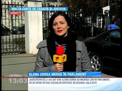 Elena Udrea, din arest la domiciliu, în Parlament