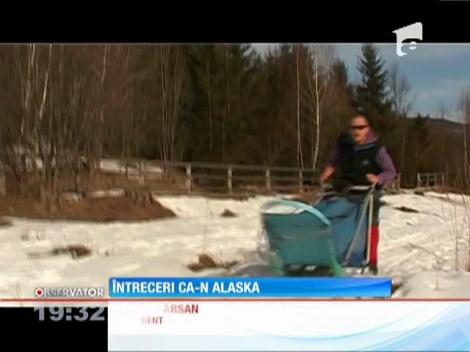 Întreceri ca-n Alaska
