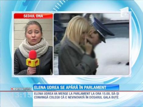 Elena Udrea află astăzi dacă va fi din nou arestată
