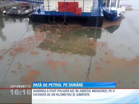 Alertă pe Dunăre! O pată imensă de petrol a acoperit apa