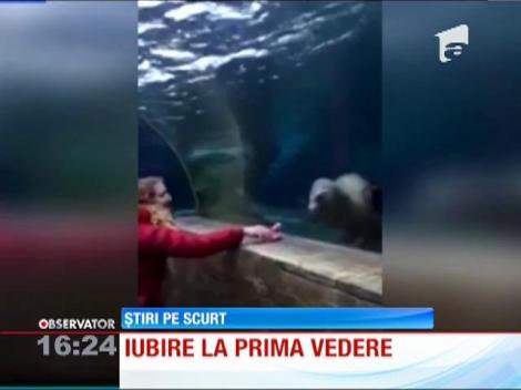 Prietenie nemaivăzută între o fetiţa de 3 ani şi un leu de mare