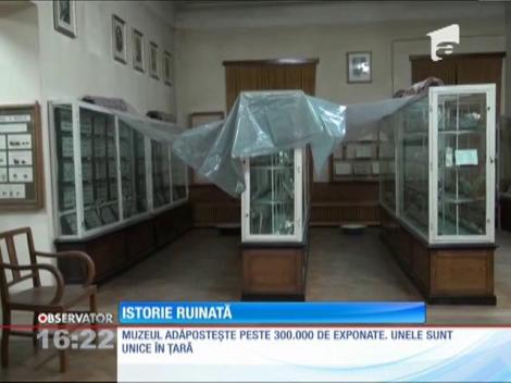 Cel mai vechi muzeu de istorie naturală din ţară mai are puțin și se dărâmă