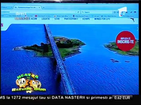 Participa la Wings For Life World Run, Mai 2015