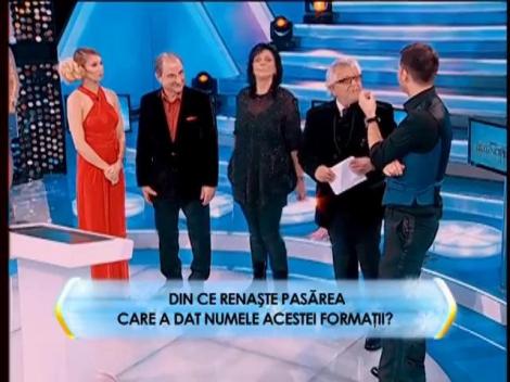 Runda 2: Din ce renaşte pasărea care a dat numele acestei formaţii?