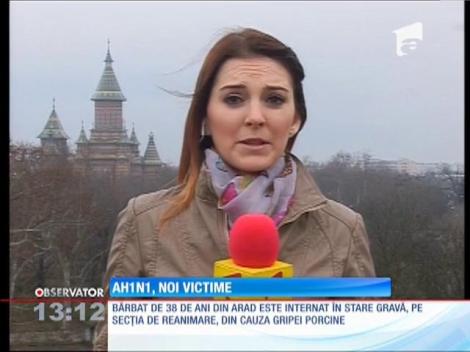 Gripa porcină face noi victime