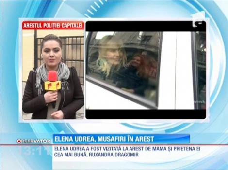 Caudou în arest pentru Elena Udrea. Fostul ministru a primit un dulap