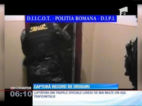 Apartamentul unui tânăr din Constanţa ascundea o adevărată cultură de cannabis