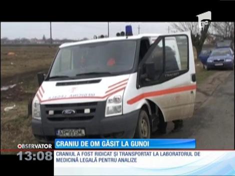 Craniu uman descoperit la gunoi