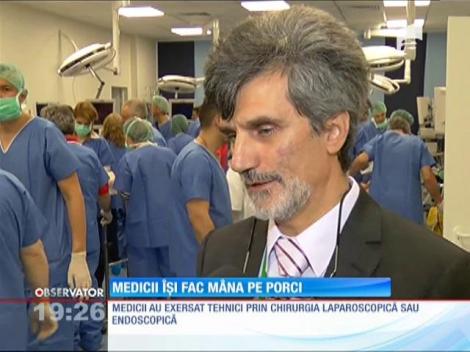 Medicii români învaţă să salveze oameni experimentând pe porci
