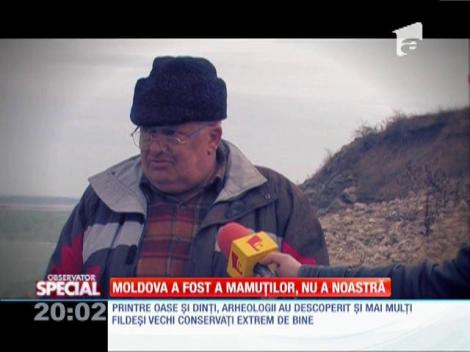 SPECIAL! Cimitirul mamuților din Botoșani