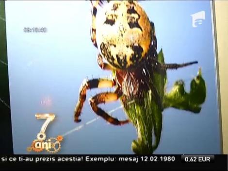 Muzeul "Grigore Antipa", gazda unei expoziții de păianjeni și scorpioni vii