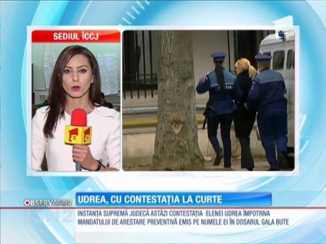 Elena Udrea, cu contestația la Înalta Curte