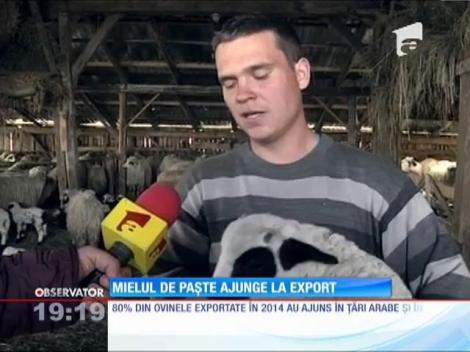 Mielul de Paşte ajunge la export