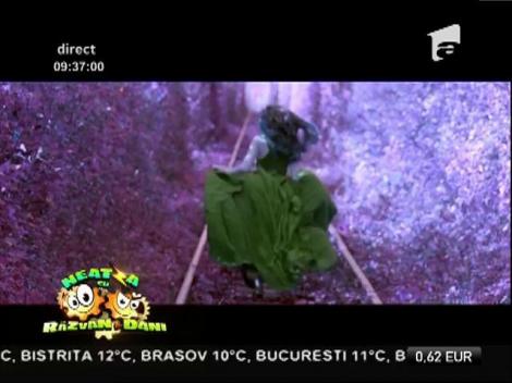 Videoclip! Yamira feat. Mattyas - "Waterfalls"