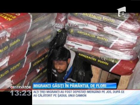 12 migranţi, cetăţeni irakieni, sri-lankezi şi afgani au încercat să intre în România ascunşi în pământ de flori