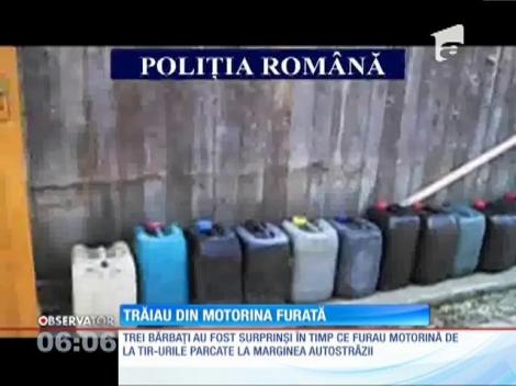 Urmărire cu focuri de armă pe autostrada Bucureşti-Piteşti