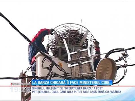 Au mutat cuibul celebrei berze din Schitu Goleşti, dar au rupt inimile vecinilor