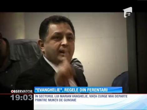 Marian Vanghelie, regele din Ferentari