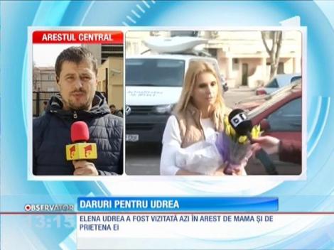 Daruri pentru Elena Udrea