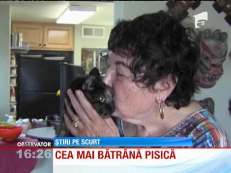 Cea mai bătrână pisică
