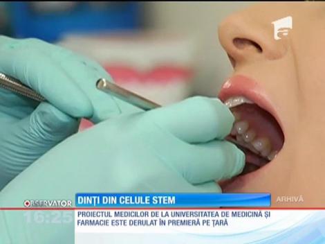 Dinți din celule stem