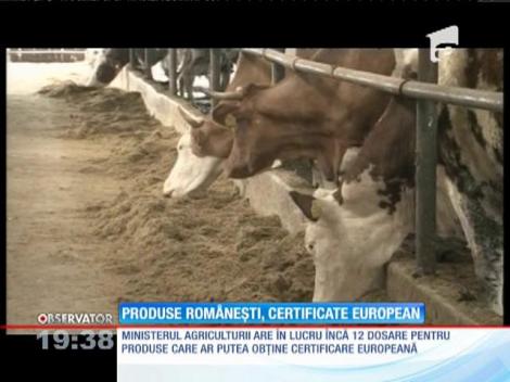 Brânza de Ibăneşti şi novacul afumat, recunoscute la nivel european