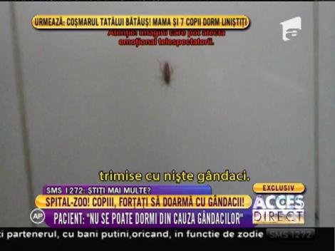 Spitalul-zoo din Craiova! Copiii, forțați să doarmă cu gândacii!