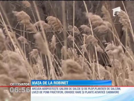 Ziua Mondială a Apei celebrată de Apa Nova la Staţia de Tratare Arcuda