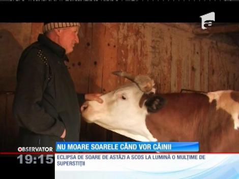 Vocea satului: eclipsa de soare, opera vârcolacilor nesătui