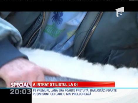 SPECIAL! A intrat stilistul la oi