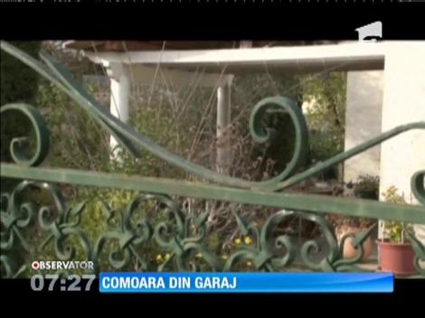 Fostul electrician al lui Pablo Picasso a ascuns lucrările pictorului