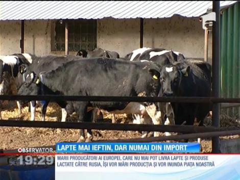 Lapte mai ieftin, dar numai din import