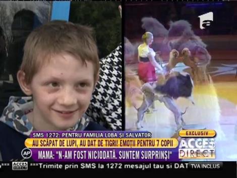 Emoții pentru cei șapte copii când au văzut tigrii la circul Globus