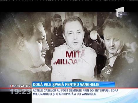 Oana Niculescu Mizil se simte bine! Copilul lui Vanghelie nu se află în pericol