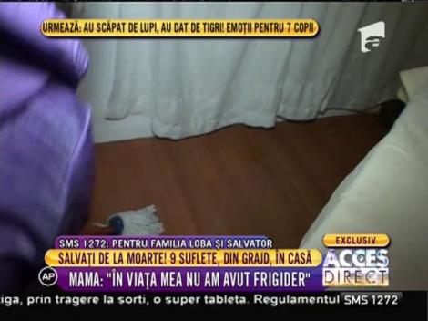 Nu și-au imaginat niciodată că se vor muta! Iată cum arată noua casa în care vor locui cele nouă suflete!