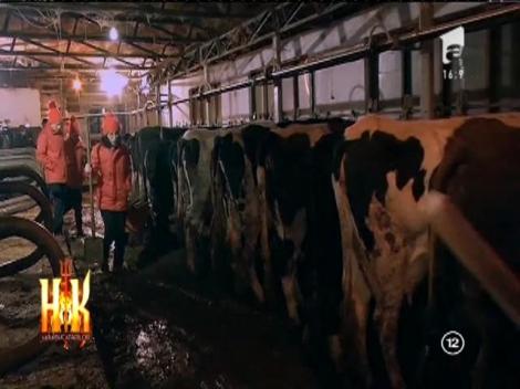 Mălina și Rebeca sunt la cuțite! „Cu asemenea acuzații pot ajunge în instanță!”