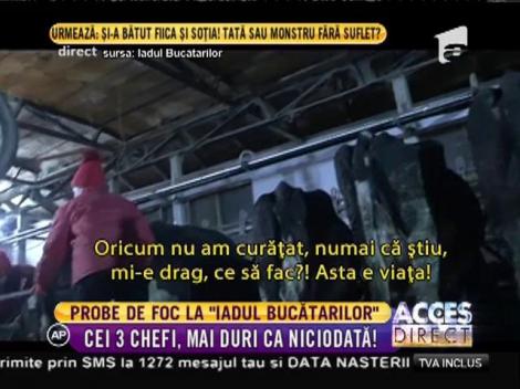 Probe de foc la "Iadul Bucătarilor"! Concurenţii, puși să curețe un grajd!