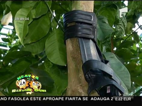 Moda în 2015. Ce încălțăminte se poartă în sezonul primăvară-vară