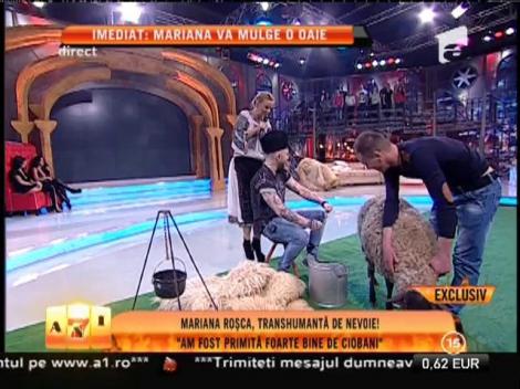 Mariana Roşca, transhumantă de nevoie!