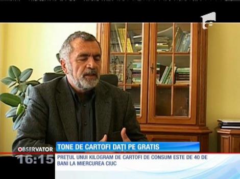 Tone de cartofi dați pe gratis, în Harghita