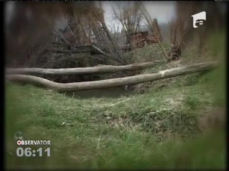 Copil de 2 ani, înecat în curtea casei