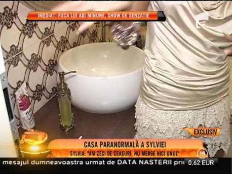 Casa paranormala a Sylviei